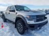 FORD - F150 SVT R