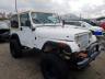 AMERICAN MOTORS - WRANGLER