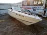 SEARAY - 32476019