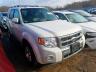FORD - ESCAPE LIMITED