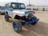 AMERICAN MOTORS - WRANGLER