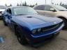 DODGE - CHALLENGER