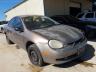 DODGE - NEON