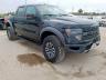 FORD - F150 SVT R