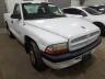 DODGE - DAKOTA