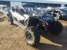 CAN-AM - SIDEBYSIDE
