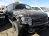 FORD - F150 SVT R