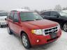 FORD - ESCAPE XLT