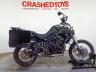 TRIUMPH - TIGER