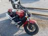 INDIAN - MOTORCYCLE