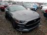 FORD - MUSTANG GT