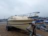 SEARAY - BOAT