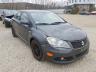 SUZUKI - KIZASHI