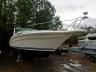 SEARAY - EXPRESS CR