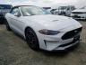 FORD - MUSTANG