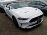 FORD - MUSTANG