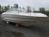 SEARAY - MARINE LOT