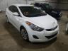 HYUNDAI - ELANTRA