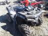 ARCTIC CAT - ATV