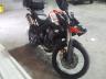 TRIUMPH - TIGER