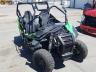 ARCTIC CAT - WILDCAT TR