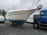 SEARAY - BOAT