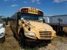 BLUEBIRD - SCHOOL BUS