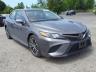 TOYOTA - CAMRY