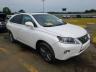 LEXUS - RX350