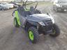 ARCTIC CAT - WILD CAT