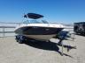 SEARAY - BOAT