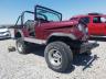 AMERICAN MOTORS - CJ5
