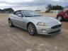 JAGUAR - XK
