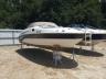 SEARAY - SEARAY 240