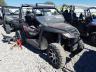 ARCTIC CAT - SIDEBYSIDE