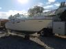 SEARAY - SUNDANCER