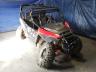 ARCTIC CAT - WILD CAT