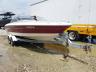 SEARAY - BOAT