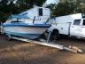 SEARAY - BOAT