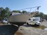SEARAY - BOAT