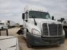 FREIGHTLINER - CASCADIA 1