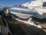 SEARAY - BOAT