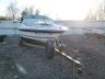 SEARAY - BOAT