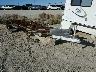 AIRSTREAM - TRAILER