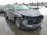 LEXUS - NX 300 BAS