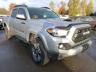 TOYOTA - TACOMA