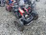 CAN-AM - RYKER RALL
