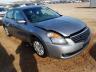 NISSAN - ALTIMA
