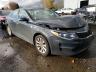 KIA - OPTIMA