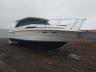SEARAY - BOAT